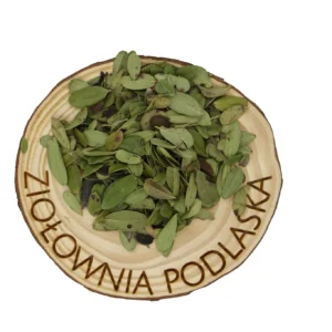 Jagoda borówka brusznica liść – układ moczowy, nerki i pęcherz