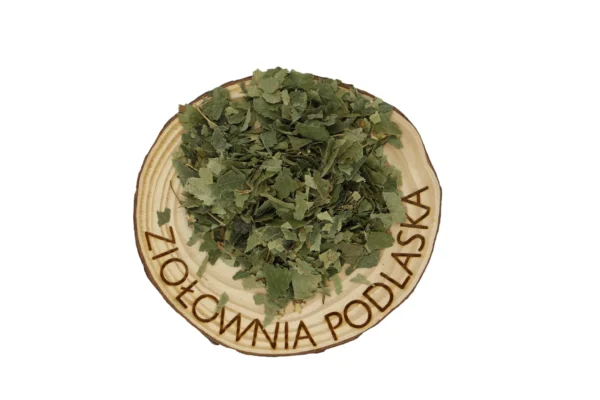 BRZOZA LIŚĆ