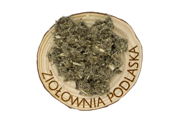 BYLICA POSPOLITA ZIELE