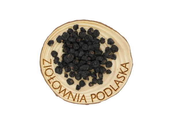 CZARNA PORZECZKA OWOC