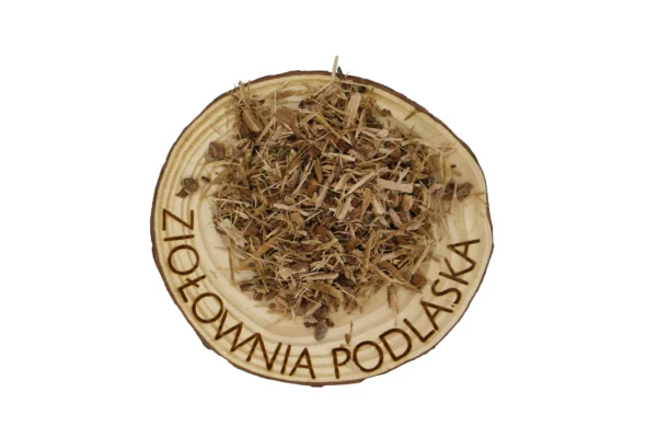 DĄB KORA