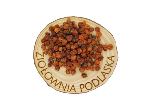 JARZĘBINA OWOC