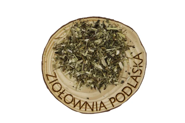 JEŻÓWKA ZIELE