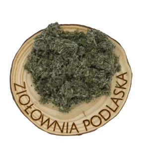 Karczoch ziele – wątroba i poziom cholesterolu