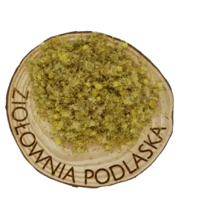 Kocanka kwiat – wątroba, trawienie i drogi żółciowe