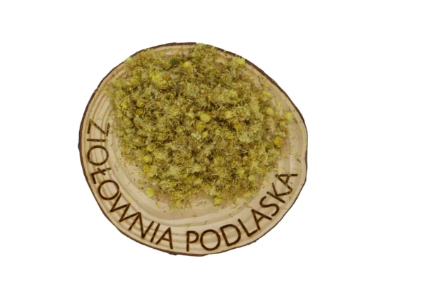 KOCANKA