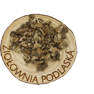 Łopian korzeń – skóra, trawienie i oczyszczanie krwi
