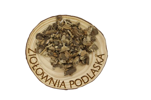 ŁOPIAN KORZEŃ