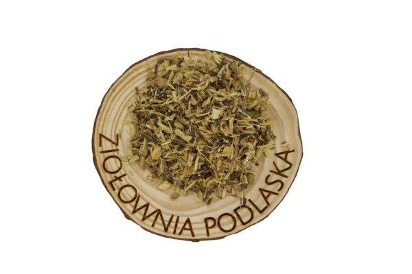 LUKRECJA KORZEŃ
