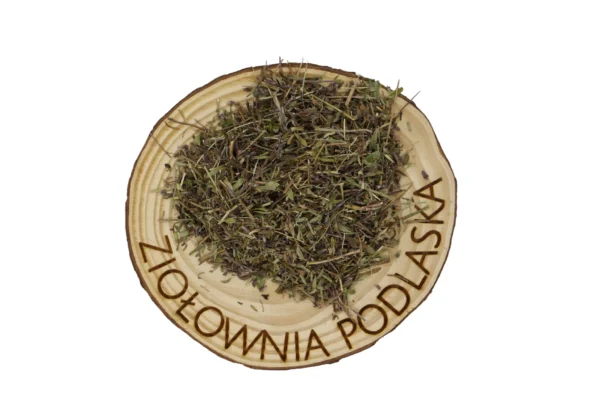 MACIERZANKA