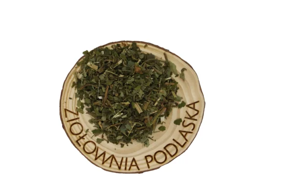 PODAGRYCZNIK