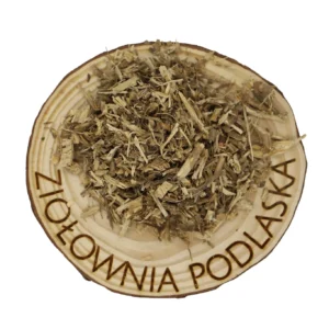 Pokrzywa korzeń – układ moczowy, prostata i oczyszczanie