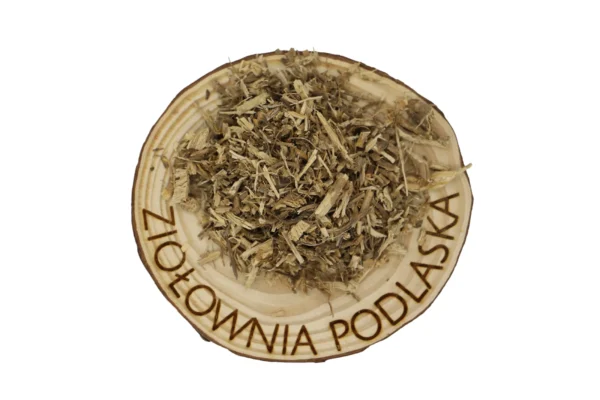 POKRZYWA_KORZEN