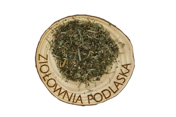 PRZYTULIA CZEPNA