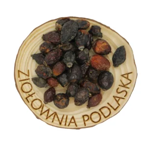 Dzika róża owoc – zioła na odporność i witaminę C