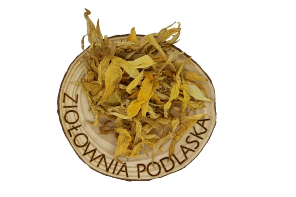 SŁONECZNIK PŁATKI