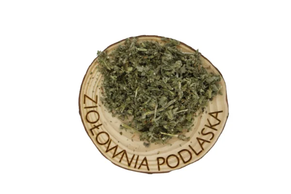 SZANTA