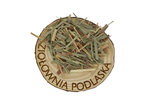 TRAWA CYTRYNOWA