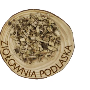 Wilżyna korzeń – drogi moczowe, pęcherz i stany zapalne