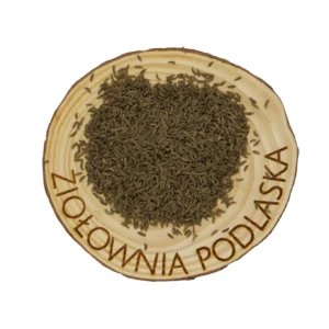Kminek nasiona – trawienie, wzdęcia i kolki jelitowe