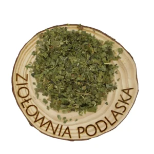 Morwa biała liść – cukier, metabolizm i odporność