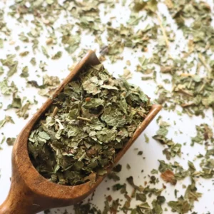 Czarna porzeczka liść