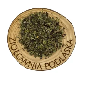 Przetacznik ziele – trawienie, drogi oddechowe, odporność