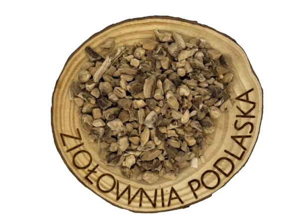 tatarak kłącze