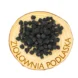 Aronia owoc