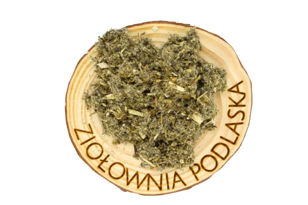 Bylica pospolita