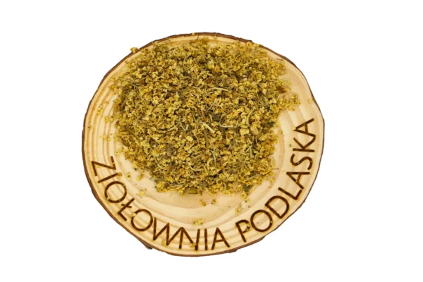 Czarny bez kwiat