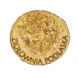 Fasola owocnia