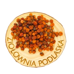 Jarzębina owoc – odporność, trawienie i drogi moczowe