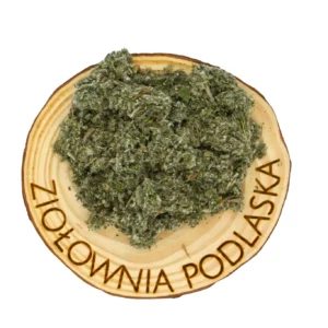 Karczoch ziele – wątroba i poziom cholesterolu