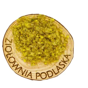 Kocanka kwiat – wątroba, trawienie i drogi żółciowe