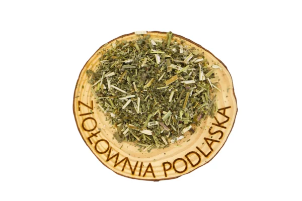 Koci miętka