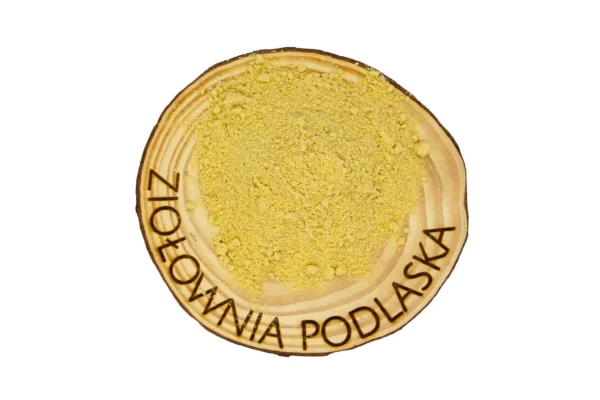 Kozieradka mielona