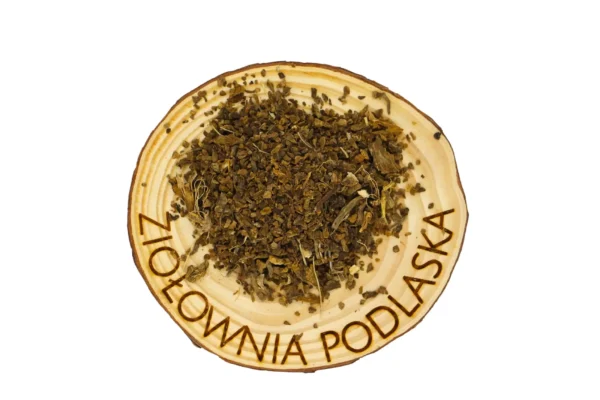 Kozłek korzeń