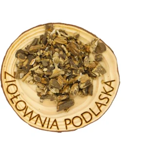 Łopian korzeń – skóra, trawienie i oczyszczanie krwi