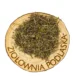 Macierzanka