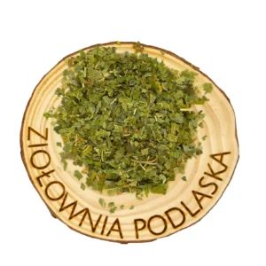 Morwa biała liść – cukier, metabolizm i odporność