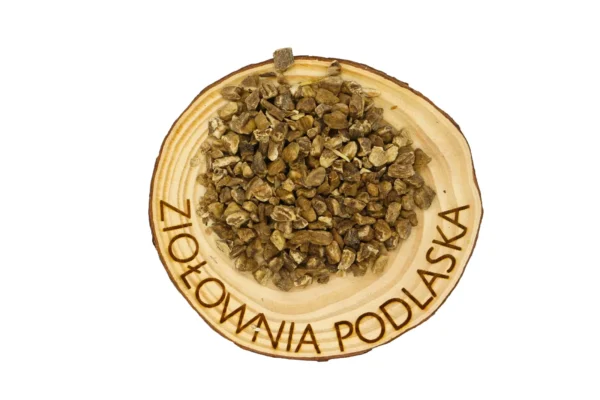 Oman korzeń