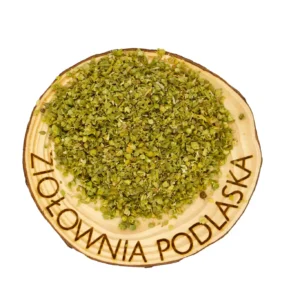 Oregano – trawienie, infekcje bakteryjne i grzybicze