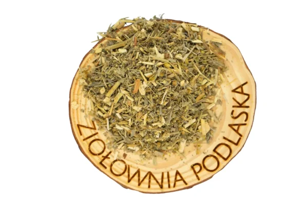Piołun ziele