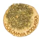 Piołun ziele