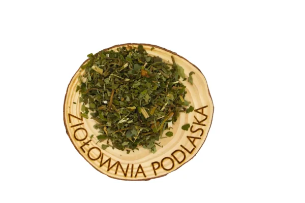 Podagrycznik