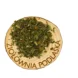 Podagrycznik