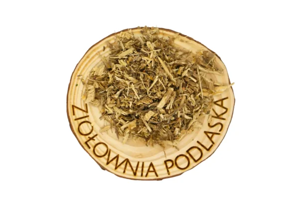 Pokrzywa korzeń