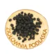 Porzeczka czarna owoc