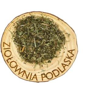 Przytulia ziele – węzły chłonne, skóra i układ limfatyczny